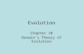 Evolution Chapter 10 Darwin ’ s Theory of Evolution.