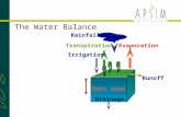 TranspirationEvaporation Rainfall Runoff Drainage Irrigation Root zone The Water Balance.