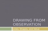 DRAWING FROM OBSERVATION Lines, Shapes, and Value.