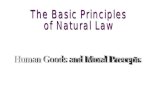 Part I - Law Law Divine law Natural law Civil law Canon law There are different kinds of law.