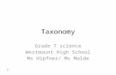 Taxonomy Grade 7 science Westmount High School Ms Hipfner/ Ms Malde 1.