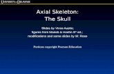 Axial Skeleton: The Skull Slides by Vince Austin; figures from Marieb & Hoehn 8 th ed.; modifications and some slides by W. Rose Portions copyright Pearson.