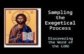 Sampling the Exegetical Process Discovering the Word of the L ORD.
