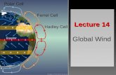 Lecture 14 Lecture 14 Global Wind. Global Circulation Single-Cell ModelSingle-Cell Model –First idea –Solar energy drives the winds –Doesn’t account for.