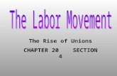 The Rise of Unions CHAPTER 20 SECTION 4. By the late 1800s, harsh conditions led workers to organize: Long hours Low wages Unsafe working conditions.