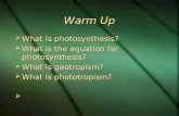 Warm Up  What is photosynthesis?  What is the equation for photosynthesis?  What is geotropism?  What is phototropism?   What is photosynthesis?