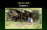 1 Life on Land Chapter 2. 2 Terrestrial Biomes Biomes are distinguished primarily by their predominant plants and are associated with particular climates