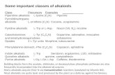 Some important classes of alkaloids ClassPrecursorsExamples_____________ Piperidine alkaloidsL-lysine (C 5 N)Piperine Pyrrolidine/tropane alkaloidsL-ornithine.