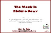 Dec. 1 - 8 A "new" Rembrandt, a fatal fire, more bloodshed in Iraq and some of the cutest cats you'll ever see await you in The Week In Pictures. holdemqueen@hotmail.com.