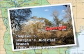 Chapter 5: Georgia’s Judicial Branch STUDY PRESENTATION © 2010 Clairmont Press.
