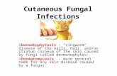 Cutaneous Fungal Infections oDermatophytosis - "ringworm" disease of the nails, hair, and/or stratum corneum of the skin caused by fungi called dermatophytes.