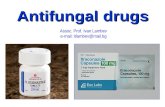 Assoc. Prof. Ivan Lambev e-mail: itlambev@mail.bg Antifungal drugs.