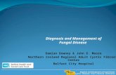 Diagnosis and Management of Fungal Disease Cystic Fibrosis Trust Clinical Conference Damian Downey & John E. Moore Northern Ireland Regional Adult Cystic.
