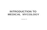 INTRODUCTION TO MEDICAL MYCOLOGY Lecture 14. Learning Outcome Able to define terms use in mycology Can describe basic characteristic of fungi Able to.