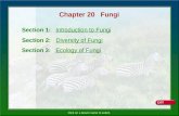 Click on a lesson name to select. Chapter 20 Fungi Section 1: Introduction to Fungi Section 2: Diversity of Fungi Section 3: Ecology of Fungi.