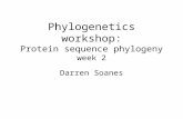 Phylogenetics workshop: Protein sequence phylogeny week 2 Darren Soanes.