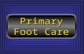 Primary Foot Care Primary Foot Care. Common Nail Problems
