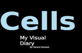 My Visual Diary By Serena Unmack. What is the difference between Animal, Plant and Fungal cells? Animal Cells Animal Cells don’t have a cell wall. Animal.