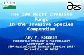 The 100 Worst Invasive Fungi In the Invasive Species Compendium Amy Y. Rossman Systematic Mycology & Microbiology Laboratory (SMML) USDA-Agricultural Research.