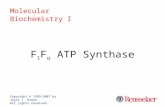F 1 F o ATP Synthase Copyright © 1999-2007 by Joyce J. Diwan. All rights reserved. Molecular Biochemistry I.