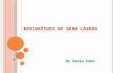 D ERIVATIVES OF G ERM LAYERS Dr Rania Gabr. O BJECTIVES By the end of this lecture,the student should be able to: Explain the results of folding List.