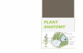 PLANT ANATOMY. The science of the structure of the organized plant body learned by dissection is called Plant Anatomy. In general, Plant Anatomy refers.