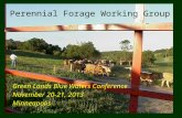 Perennial Forage Working Group Green Lands Blue Waters Conference November 20-21, 2013 Minneapolis.