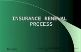 Insurance Renewal Process August 12, 2003 1 INSURANCE RENEWAL PROCESS.