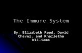 The Immune System By: Elizabeth Reed, David Chavez, and Kharletha Williams.