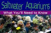 What You’ll Need to Know. The essential items for your tank.
