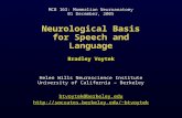 Neurological Basis for Speech and Language btvoytek@berkeley.edubtvoytek Helen Wills Neuroscience Institute University of.