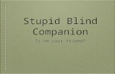 1 Stupid Blind Companion Is he your friend?. 2 Friends come in different kinds,sizes...