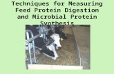 Techniques for Measuring Feed Protein Digestion and Microbial Protein Synthesis.
