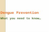 Dengue Prevention What you need to know… Contents 1.What is dengue fever 2.Symptoms of dengue fever 3.Characteristics of the Aedes mosquito 4.Life cycle.