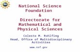 National Science Foundation & Directorate for Mathematical and Physical Sciences Celeste M. Rohlfing Head, Office of Multidisciplinary Activities .