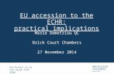 EU accession to the ECHR: practical implications Marie Demetriou QC 27 November 2014 brickcourt.co.uk +44 (0)20 7379 3550 Brick Court Chambers.