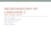 NEUROANATOMY OF LANGUAGE 2 SEPT 13, 2013 – DAY 10 Brain & Language LING 4110-4890-5110-7960 NSCI 4110-4891-6110 Harry Howard Tulane University.