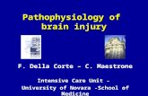 F. Della Corte – C. Maestrone Intensive Care Unit – University of Novara -School of Medicine Pathophysiology of brain injury.