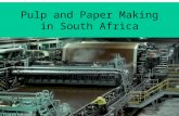 Pulp and Paper Making in South Africa. Raw Materials Derived from Renewable Resources.