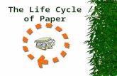 The Life Cycle of Paper. Where Do We Begin When Talking About Paper Throughout history paper has been made of recycled materials.