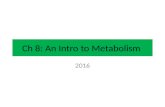 Ch 8: An Intro to Metabolism 2016. Chapter 8: Metabolism From Topic 2.1 Understandings: Metabolism is the web of all the enzyme-catalysed reactions in.