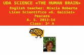 UDA SCIENCE «THE HUMAN BRAIN» English teacher: Miscia Roberta Liceo Scientifico «G. Galilei» Pescara A. S. 2013-14 Class: 3^ A.