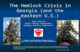 The Hemlock Crisis in Georgia (and the eastern U.S.) James Johnson Forest Health Coordinator Georgia Forestry Commission This we know: the earth does not.