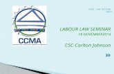 LABOUR LAW SEMINAR 18 NOVEMBER2014 CSC Carlton Johnson CASE LAW REVIEW 2014.