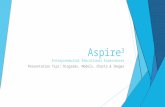 Aspire 3 Entrepreneurial Educational Experiences Presentation Tips: Diagrams, Models, Charts & Images.