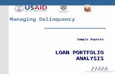 Managing Delinquency Sample Reports LOAN PORTFOLIO ANALYSIS.