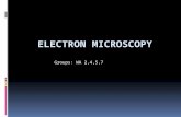 Groups: WA 2,4,5,7. History  The electron microscope was first invented by a team of German engineers headed by Max Knoll and physicist Ernst Ruska in.