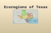 Ecoregions of Texas. What Is An Ecoregion? Ecoregion- a major area with distinctive landforms, characteristic plants and animals, and receives uniform.
