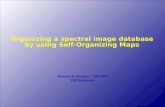 Organizing a spectral image database by using Self-Organizing Maps Research Seminar 7.10.2005 Oili Kohonen.
