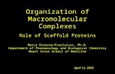 April 12, 2005 Maria Diverse-Pierluissi, Ph.D. Department of Pharmacology and Biological Chemistry Mount Sinai School of Medicine Organization of Macromolecular.